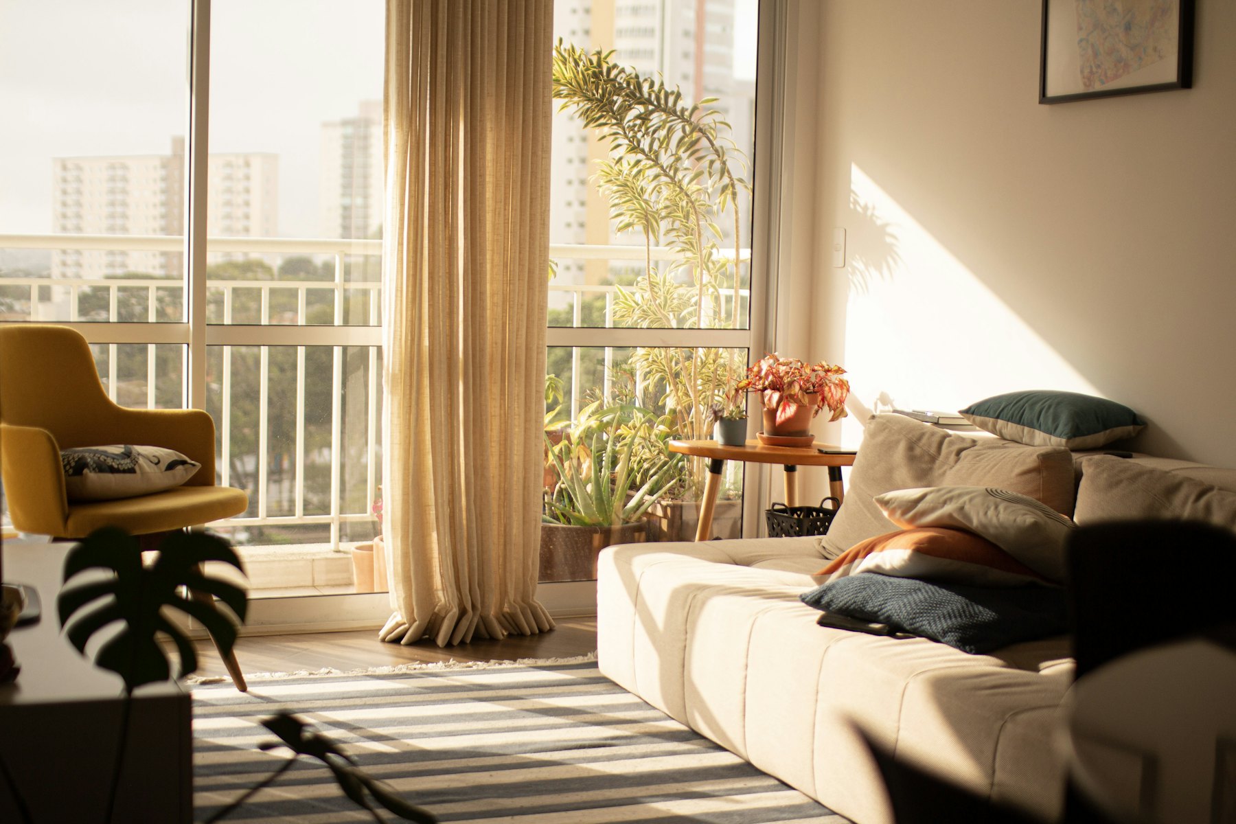 Sunlit living room of a rental flat with a sofa, plants and tall windows